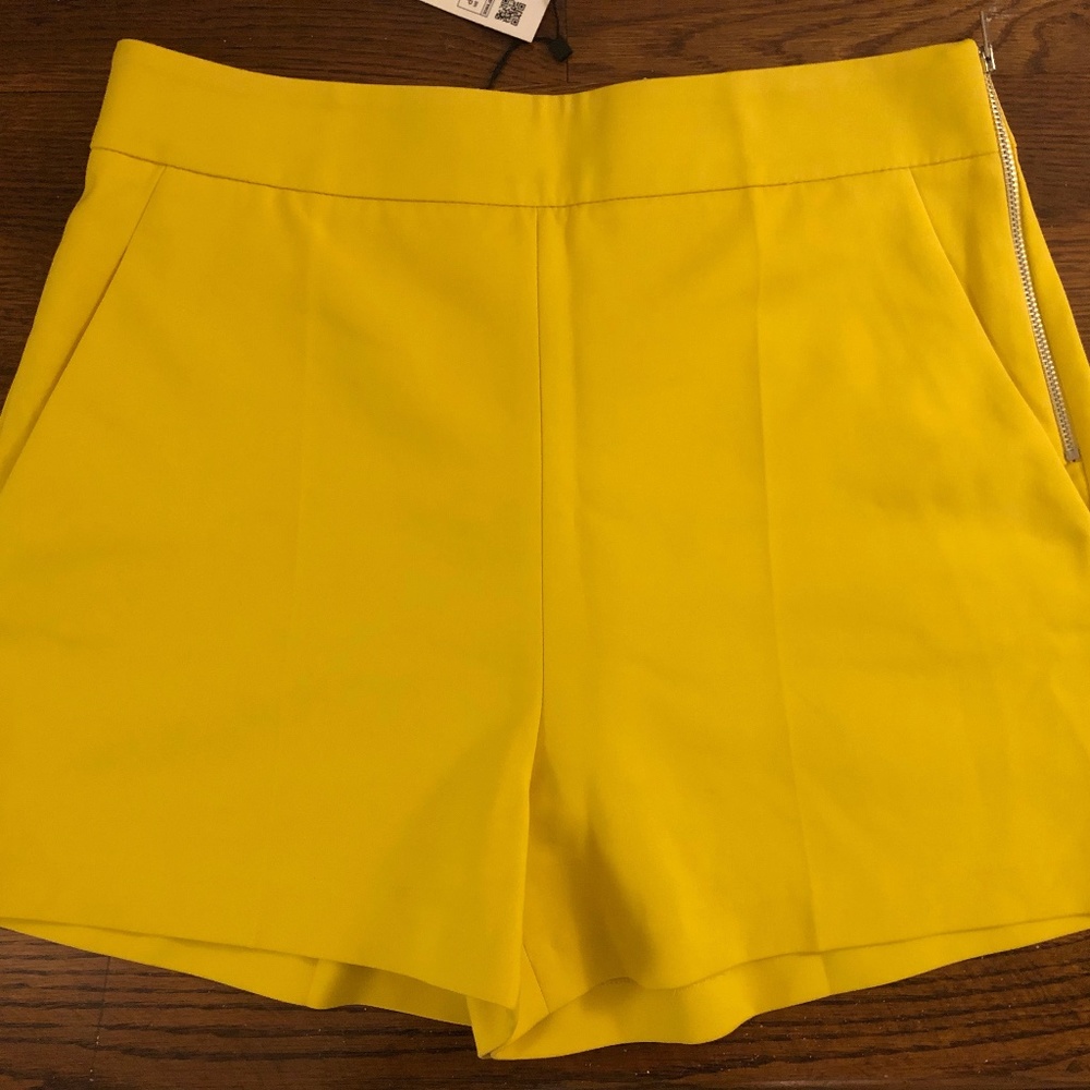 Zara shorts